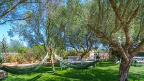 A hammock set up under a tree in a well-maintained garden with a stone wall and outdoor furniture. - Sa Teulada by Interhome (Santa Margalida)