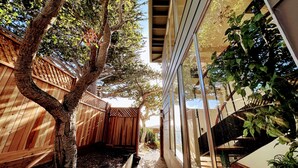 A narrow outdoor corridor with a wooden fence on one side and a glass wall on the other.