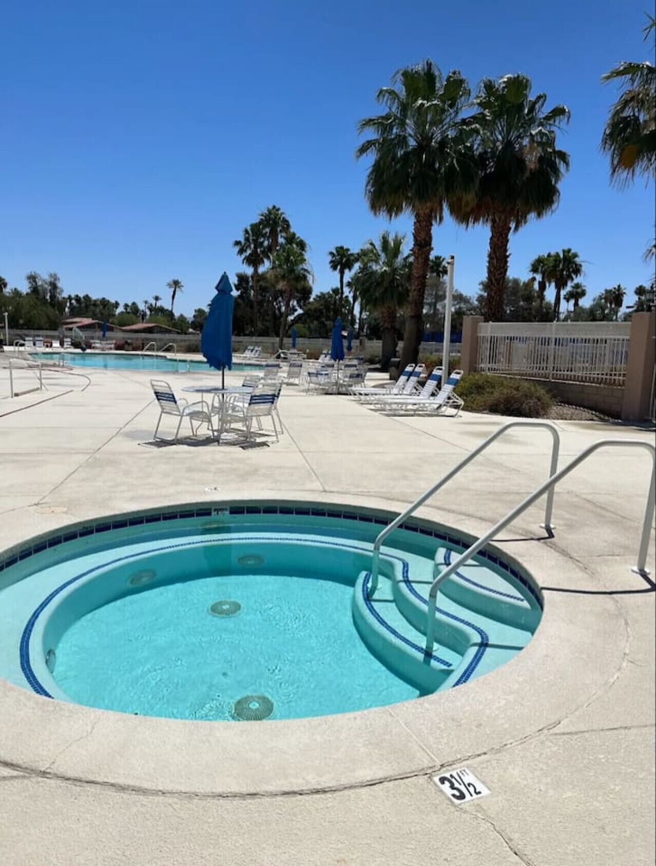 A pool area with lounge chairs and umbrellas, surrounded by palm trees.