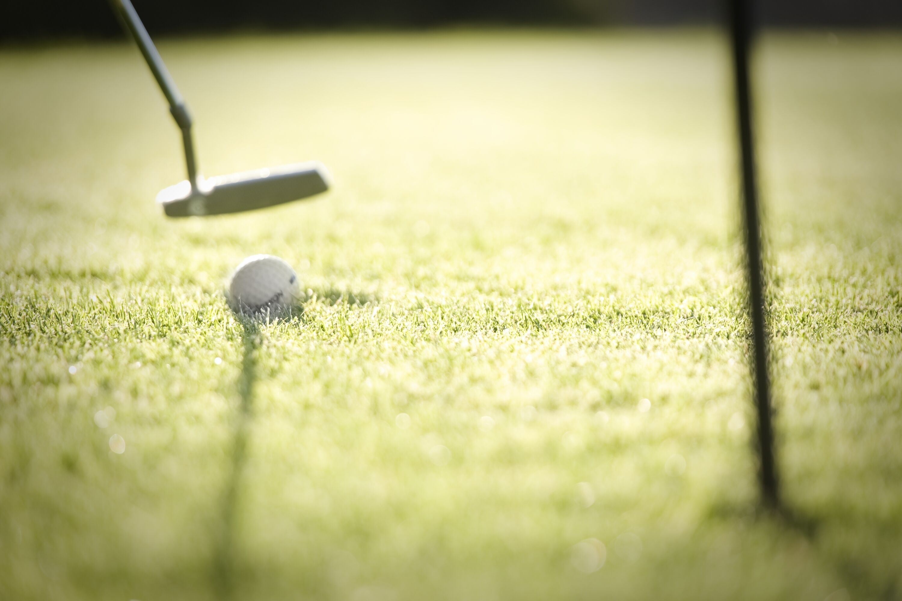 Primer plano de una pelota de golf sobre un césped impecable, con un palo de golf cerca.