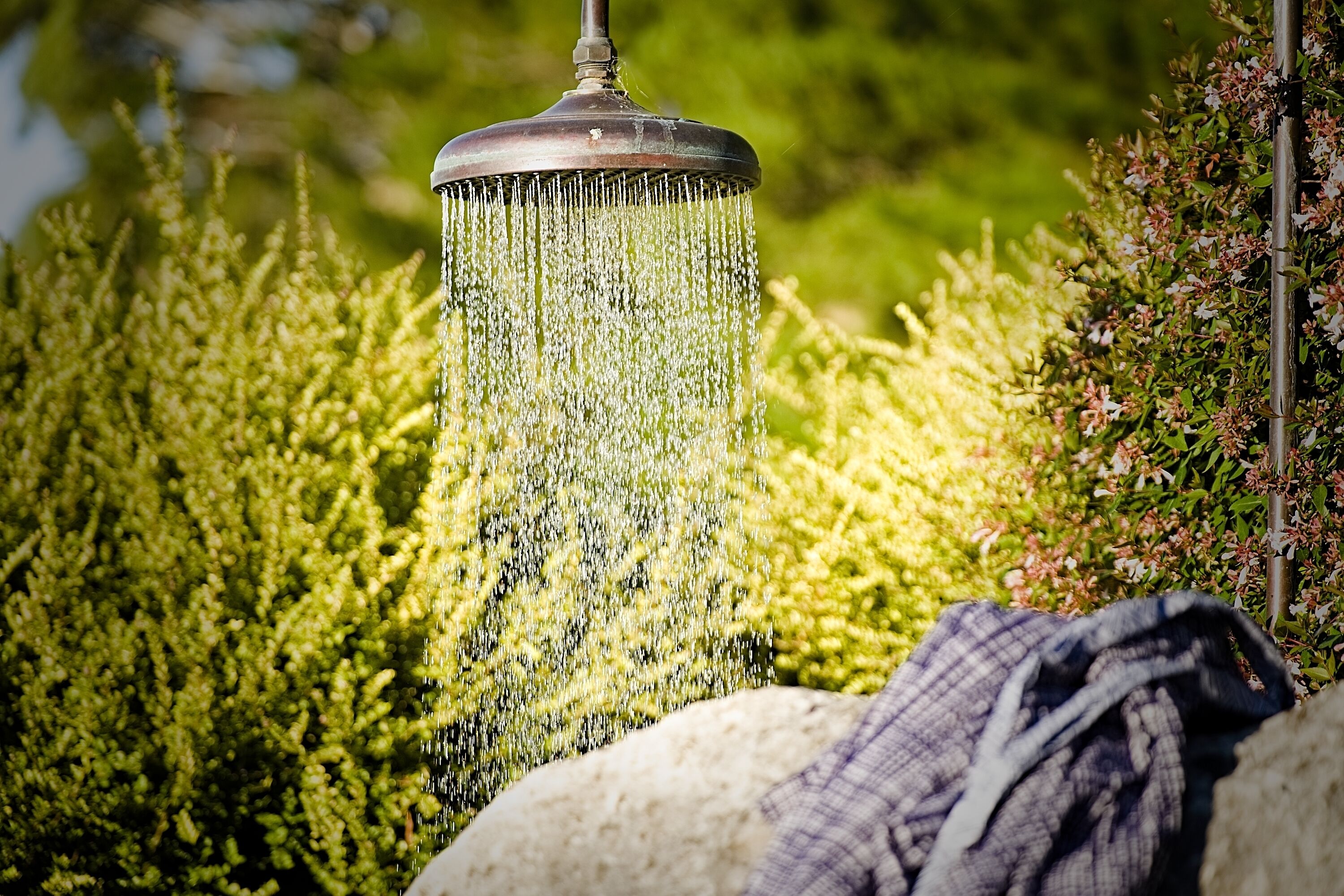 Un cabezal de ducha con agua que cae en un jardín.