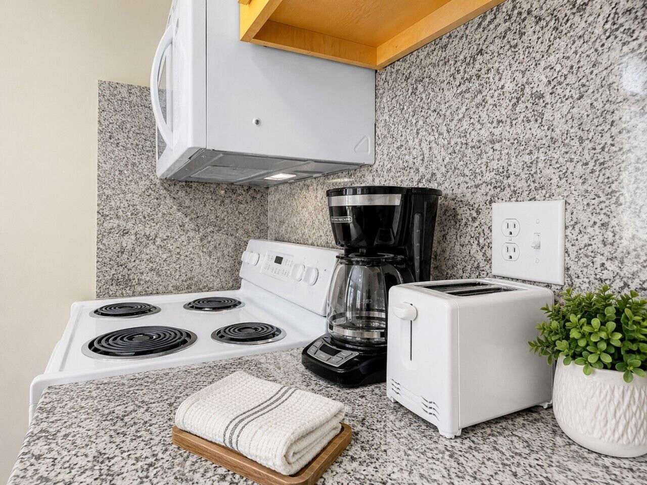 A kitchen with a stove, coffee maker, toaster, and a plant.