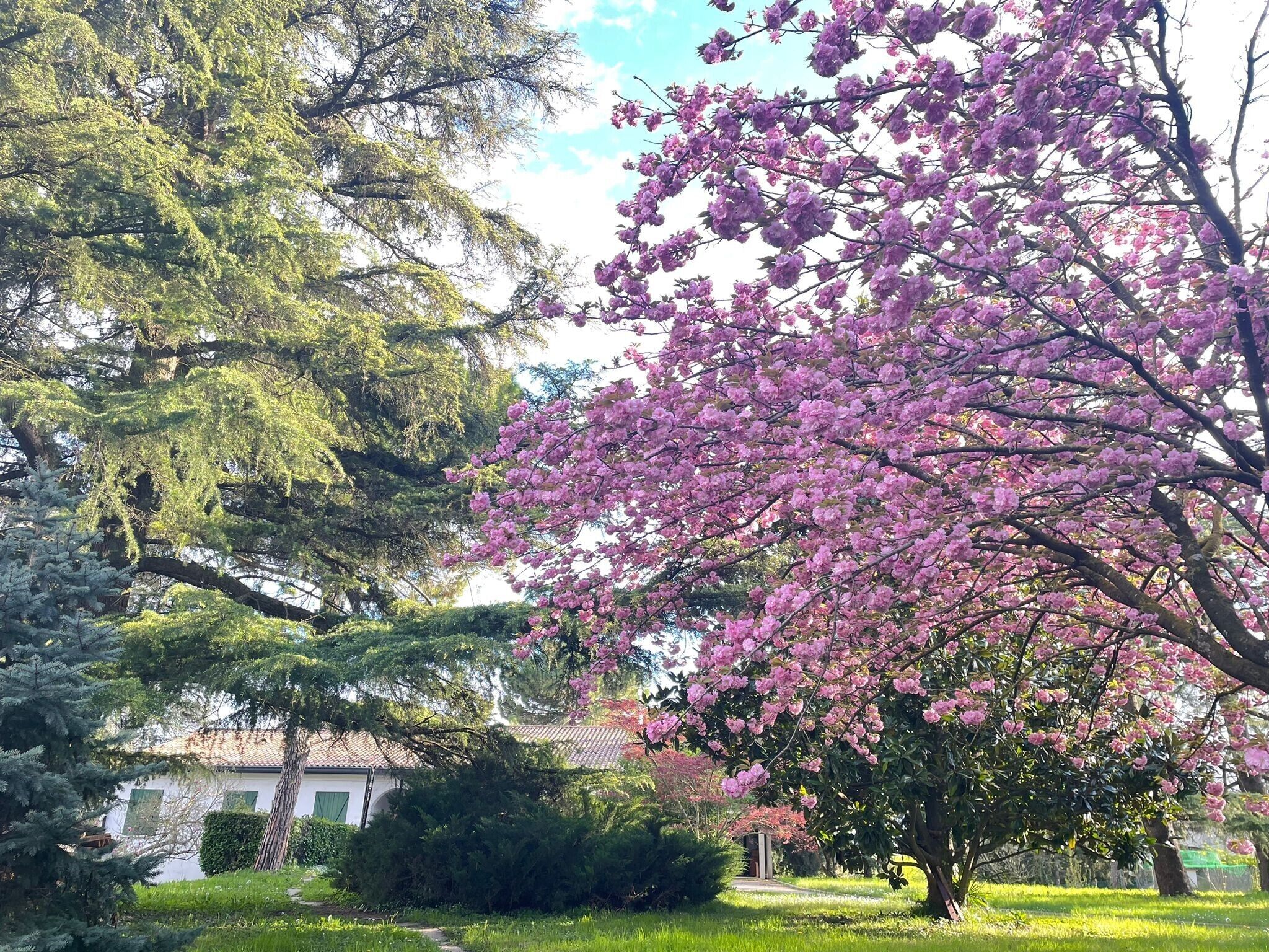 Parco della struttura