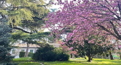 Villa 'Giacinti' mit Privatem Garten und WLAN