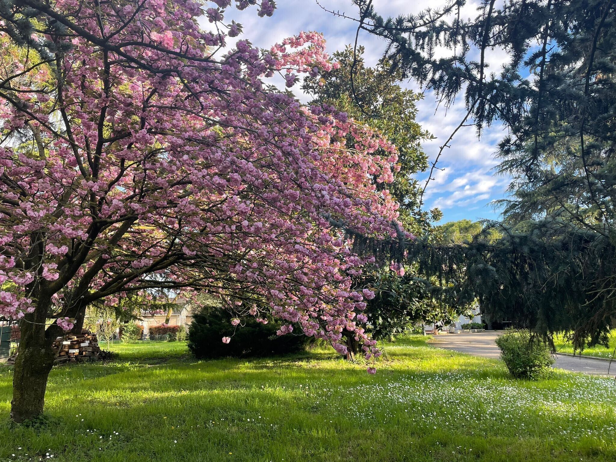 Parco della struttura