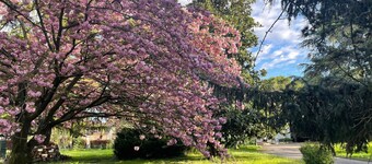 Villa 'Giacinti' with Private Garden and Wi-Fi