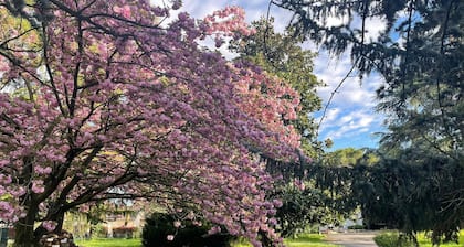 Villa 'Giacinti' with Private Garden and Wi-Fi