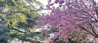 Villa 'Giacinti' with Private Garden and Wi-Fi