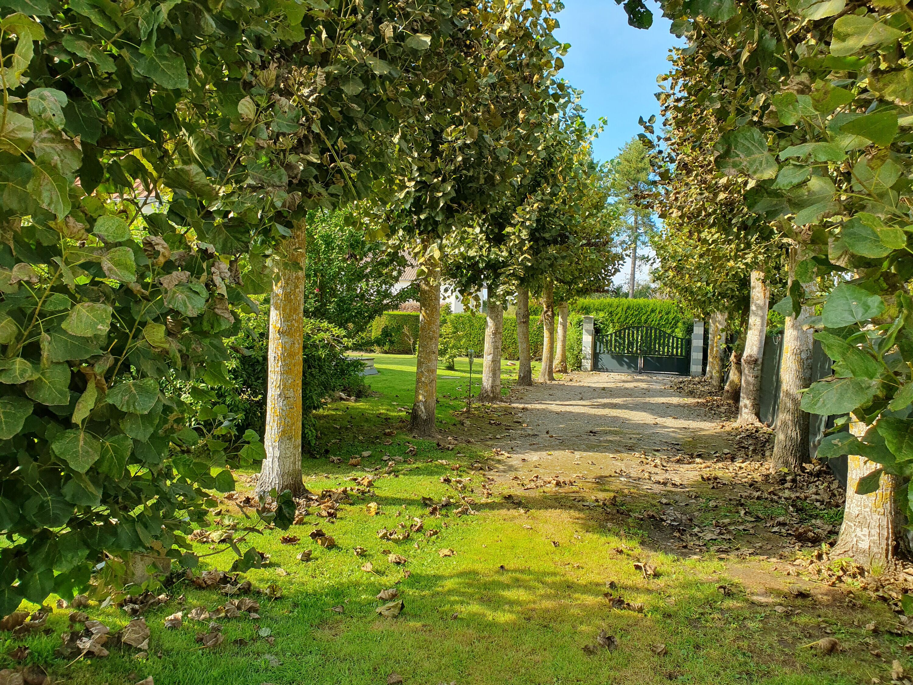 Overnattingsstedets uteområder