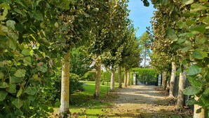 A pathway lined with trees and a hedge in the background. - Holiday Home 'Gite En Baie De Somme' with Private Terrace, Private Garden and Wi-Fi (Saint-Quentin-en-Tourmont)