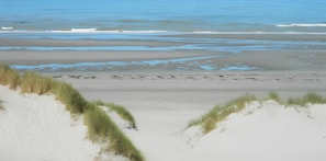 Ein Strand mit Dünen und dem Meer.