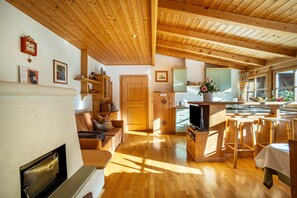 TV, fireplace, stereo - Holiday Apartment "Adults Only Wasserfall Hegedex" with Mountain View, Balcony & Wi-Fi (Pfunders)