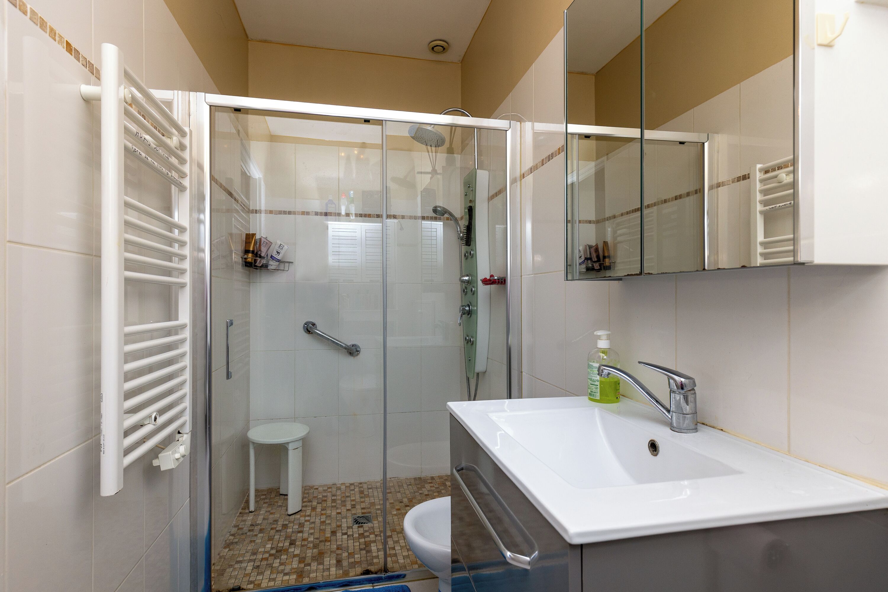 Dusche, Haartrockner, Handtücher