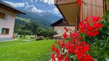 Detalle del exterior