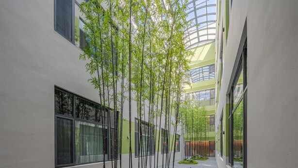 A building with a modern architectural design, featuring a central courtyard with bamboo trees and a small pond. - Holiday Inn Express Dandong City Center (Dandong)