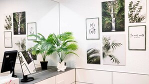 A reception area with a counter, a potted plant, and framed artwork on the wall. - Premium Studio | 1 Min to HBF (Mannheim)