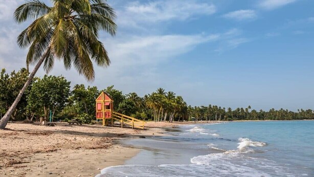 A beach with a lifeguard tower, palm trees, and a clear sky.