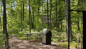 Un área de picnic con una parrilla, mesa y bancos rodeados de árboles.