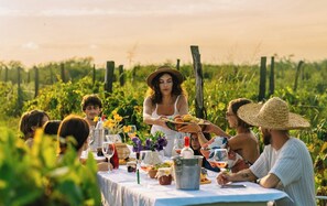 Front of property - Chateau Vartsikhe  (Sairme)