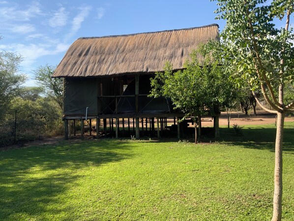 Basic Tent | 1 bedroom, free WiFi - Lorato Lodge and Camping (Ngoma)