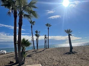Uma praia com palmeiras e céu claro.