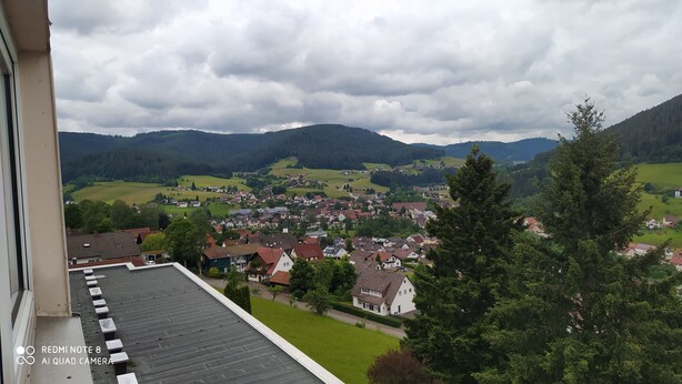 A view of a town with houses, green fields, and mountains in the background. - Tiny Flat Ferienwohnung in Baiersbronn (Baiersbronn)
