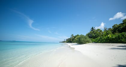 Whaleshark Beach