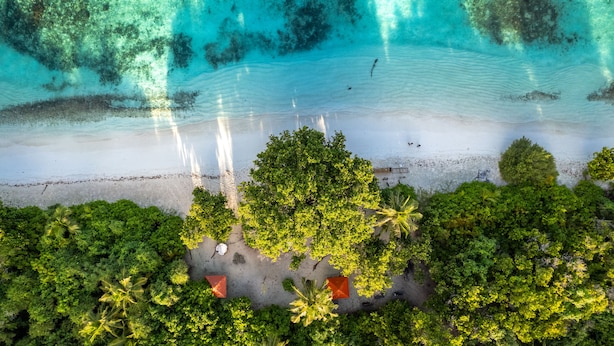 Vista aérea de una playa con vegetación verde exuberante, arena dorada y agua turquesa cristalina.
