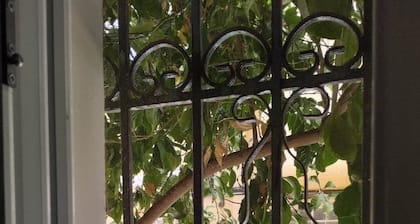 Nice and cozy
A 2-room apartment 45sq.m. in a peace full area / Pet friendly