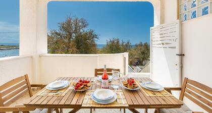 3415 Alba Apartment by Barbarhouse