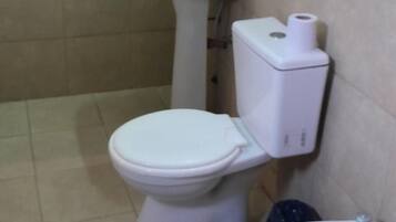 Cabezal de ducha tipo lluvia, bidet, toallas, jabón