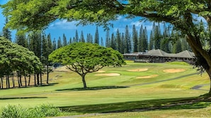 Golfkenttä, jossa on klubitalo, ja sen ympärillä on puita sekä avoin, kirkas taivas.