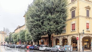 A street lined with parked cars and a row of trees in front of a yellow building with arched windows and a red door. - Maison Chanel (Bologna)