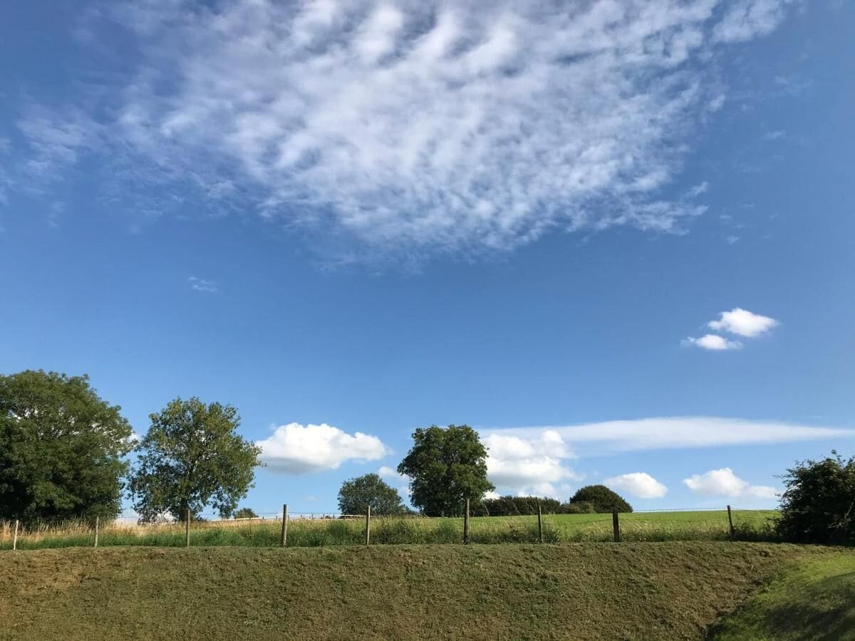 Un paysage rural avec un ciel dégagé, des arbres et un champ délimité par une clôture.