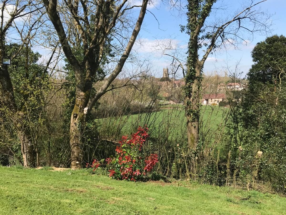 A rural landscape with trees, a bush with red flowers, and a distant view of houses.