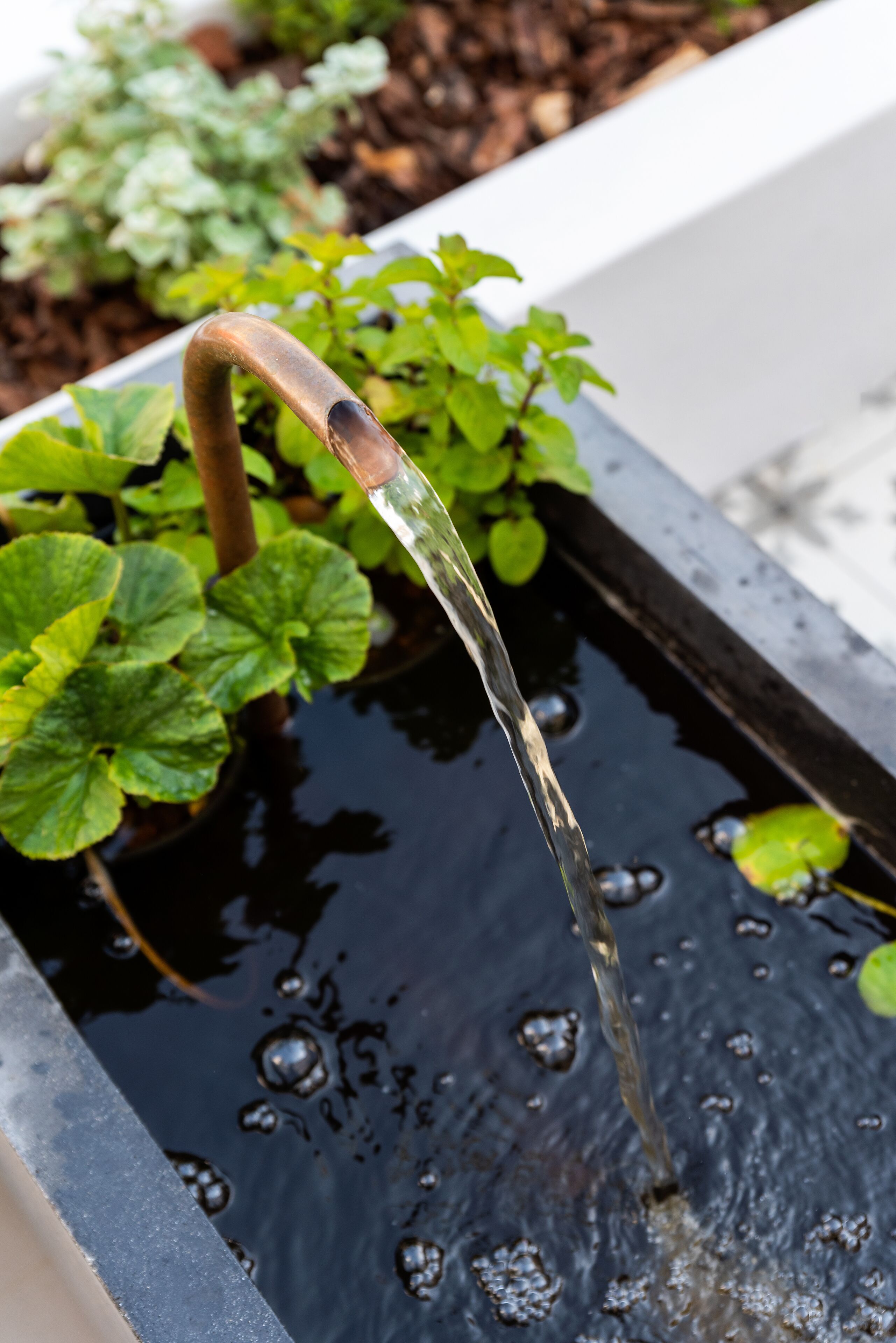 Photo - iGadi House Boutique Hotel