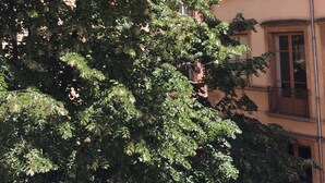 Een gebouw met meerdere ramen en balkons, omgeven door weelderige groene bomen.