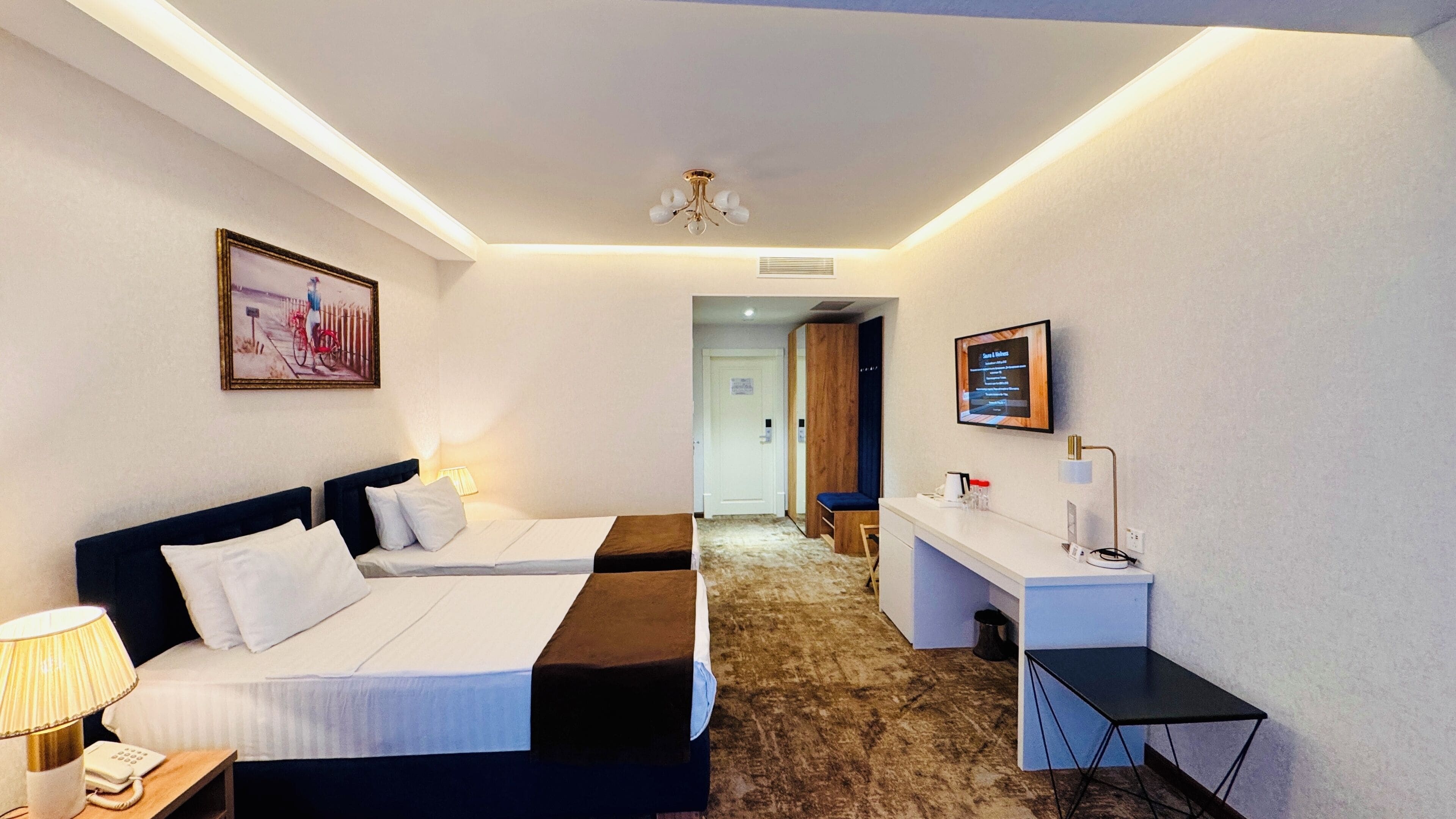 Sábanas de algodón egipcio, ropa de cama de alta calidad y cubrecamas 