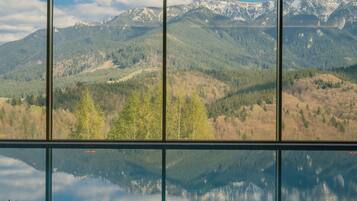 Sauna, steam room, 2 treatment rooms, massages