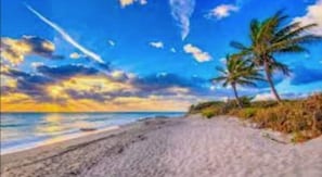Chaises longues, serviettes de plage