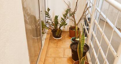 Luxury 3 bed room Apartment in Colombo