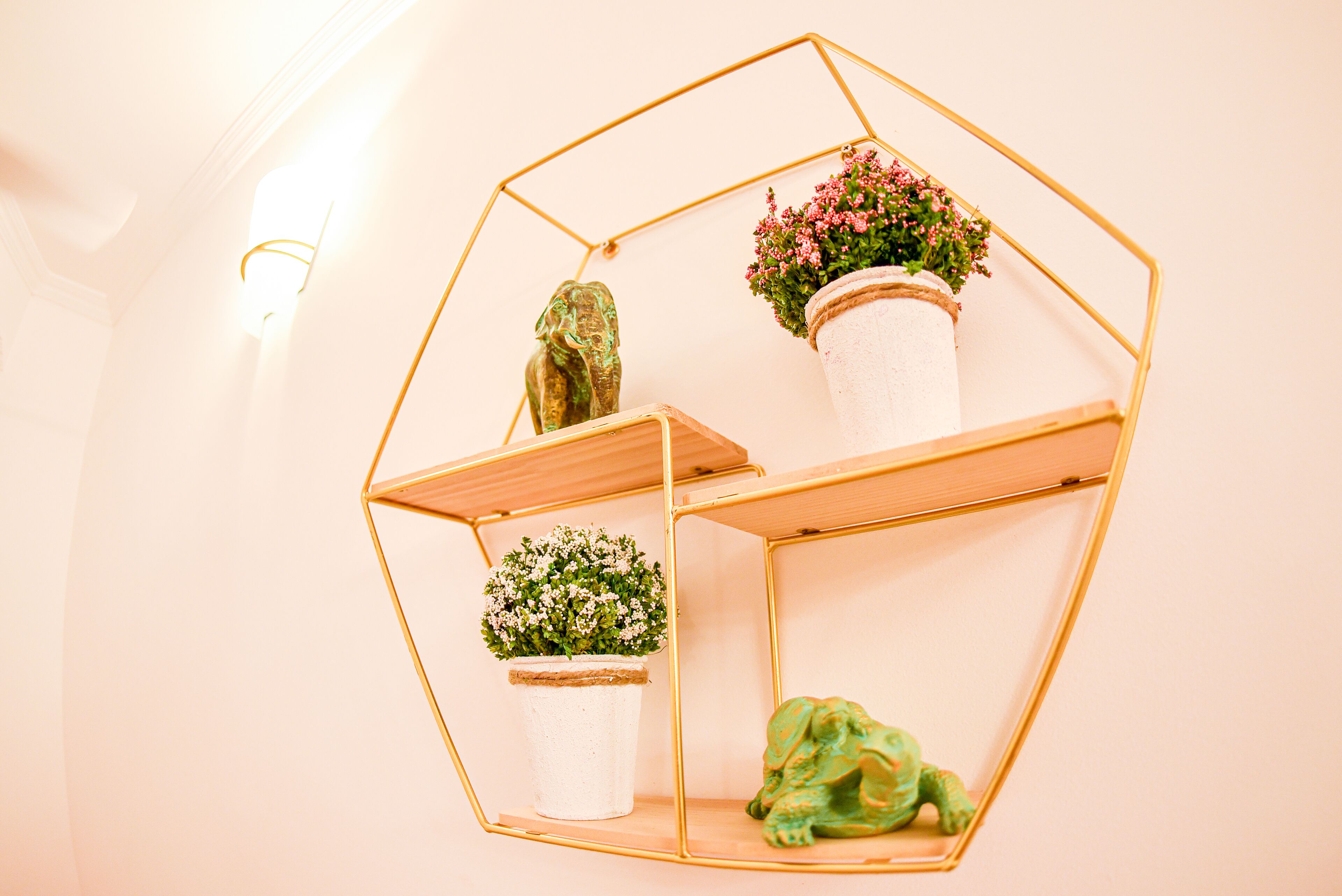 A hexagonal metal shelf with three potted plants.