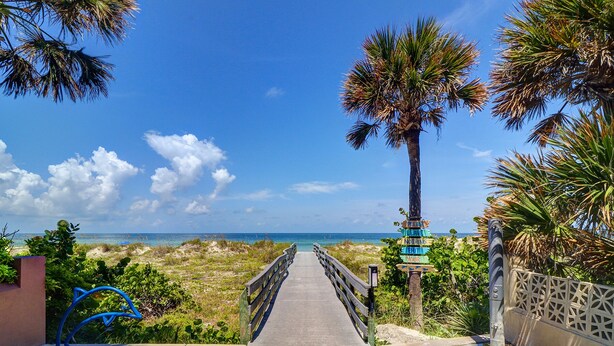 A concrete pathway leading to a beach with a palm tree and a signpost with various signs. - Private Surf Shack Less Than 5 Minutes to Indian Rocks Beach
Bikes Included! (Largo)