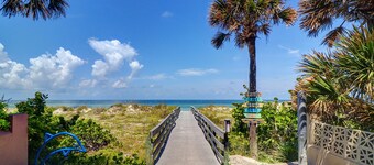 Private Surf Shack Less Than 5 Minutes to Indian Rocks Beach
Bikes Included!