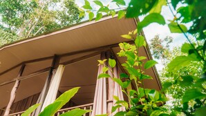 Une structure en bois dotée d’un toit en pente, entourée d’un feuillage verdoyant et luxuriant.