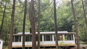 A cabin surrounded by tall trees in a forest. - Cabin in Waterville- conv location, close to rail trail and Big Pine Creek (Waterville)