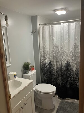 Douche, sĂšche-cheveux, papier toilette