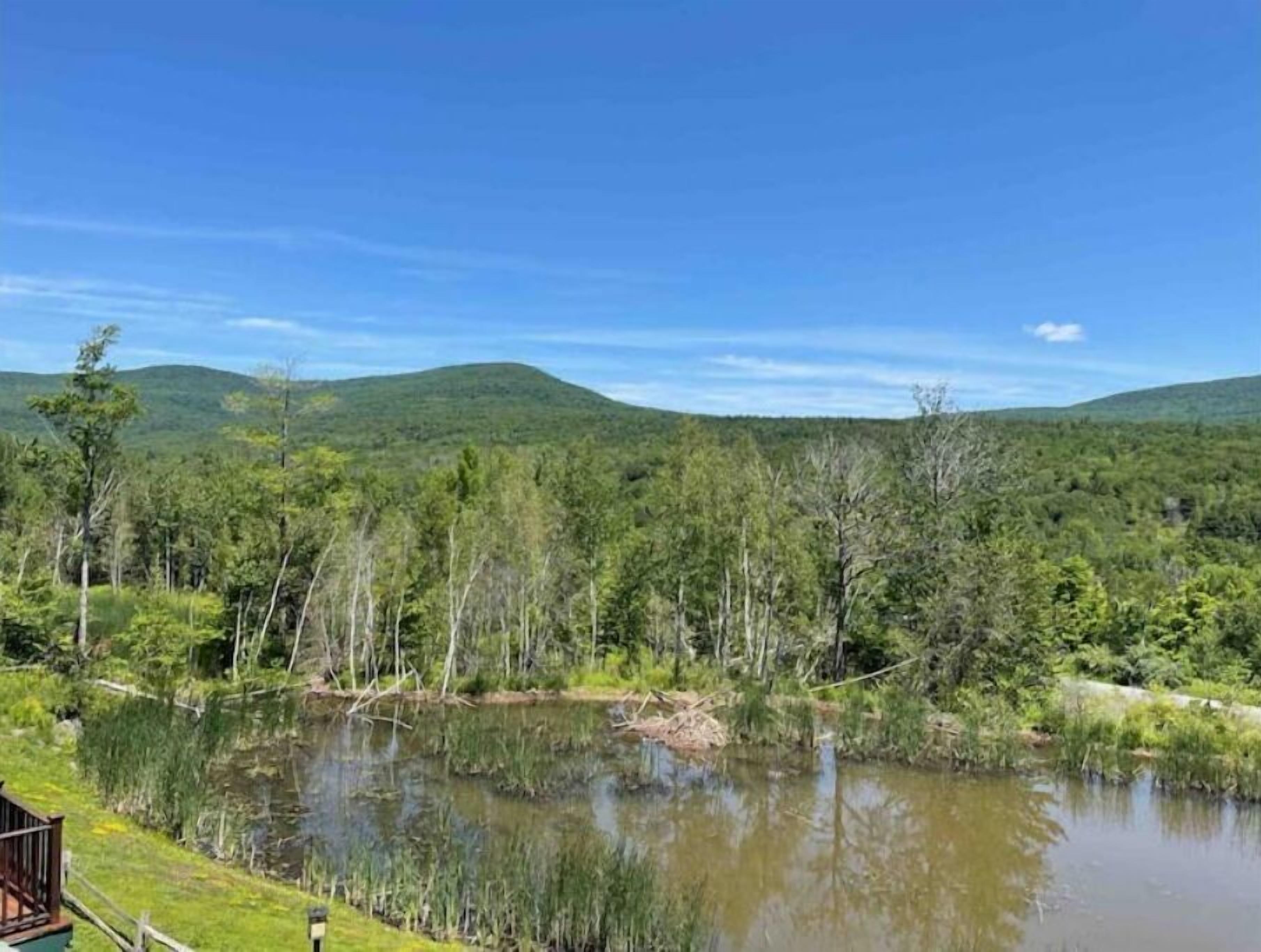 A serene landscape with a pond, surrounded by dense forest and hills.