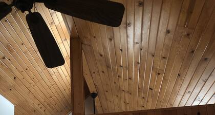 Starved rock area lovey home