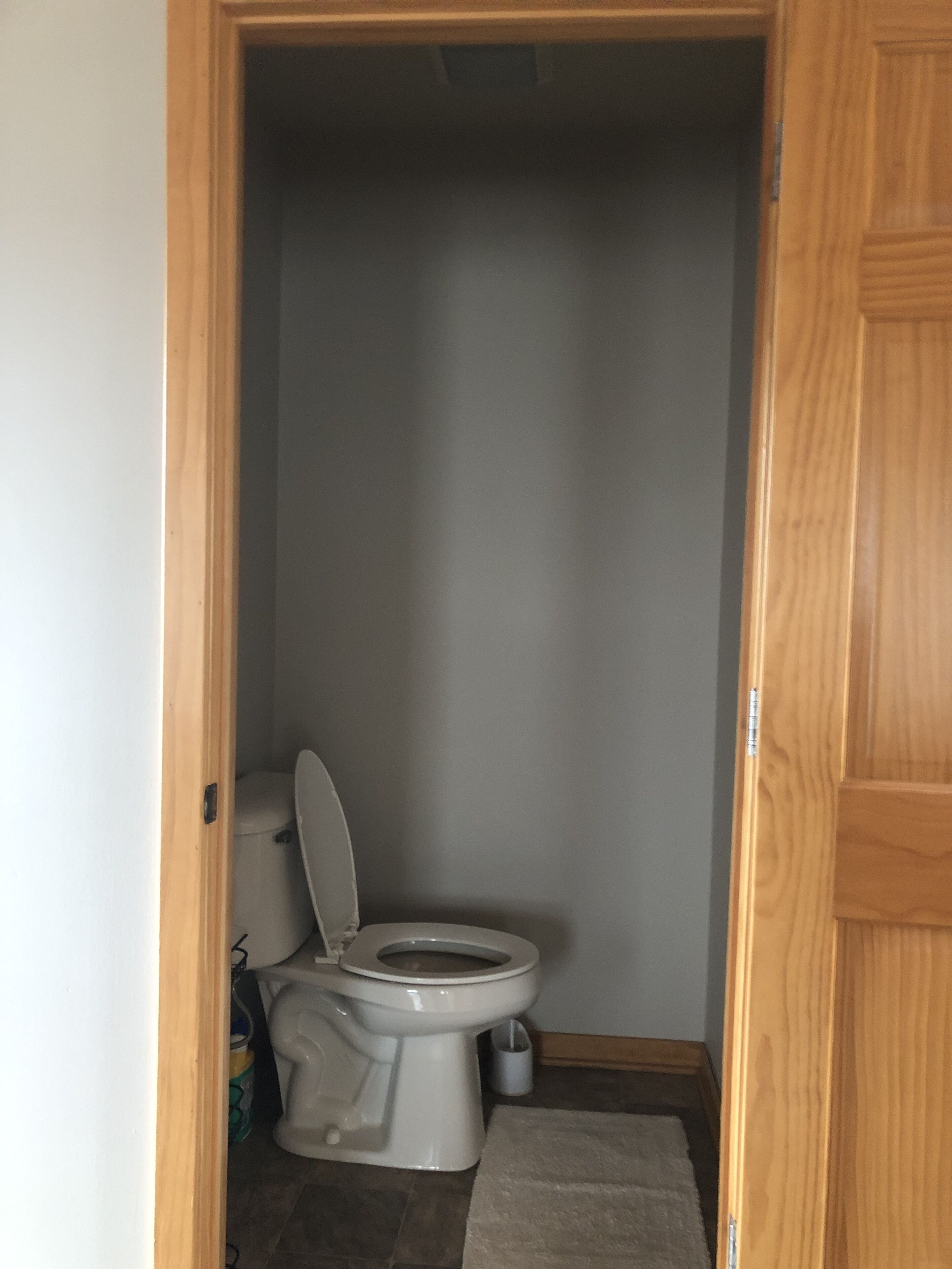 A small, enclosed bathroom with a toilet, a trash can, and a rug on the floor.